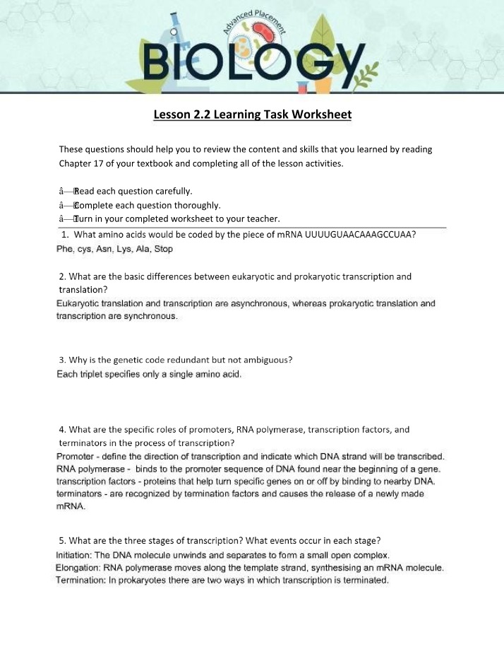 Transcription Processes, Stages, and Significance