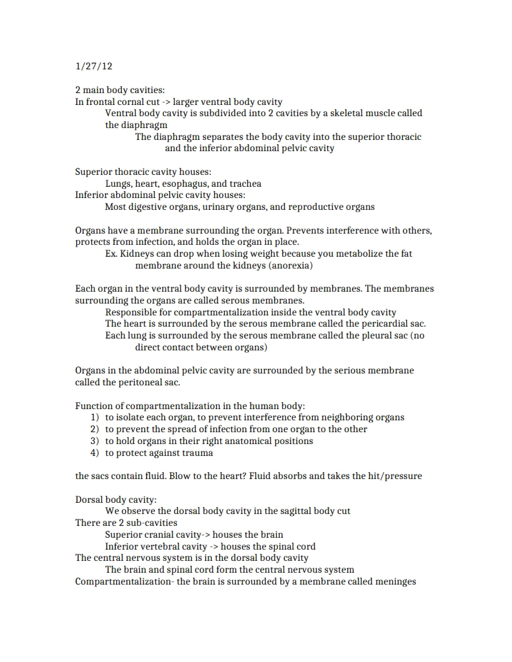 Notes on Anatomy