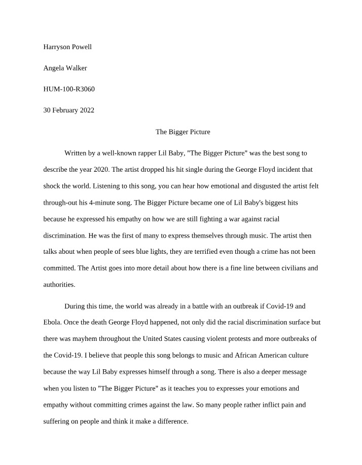 HUMA 1301 - The Bigger Picture