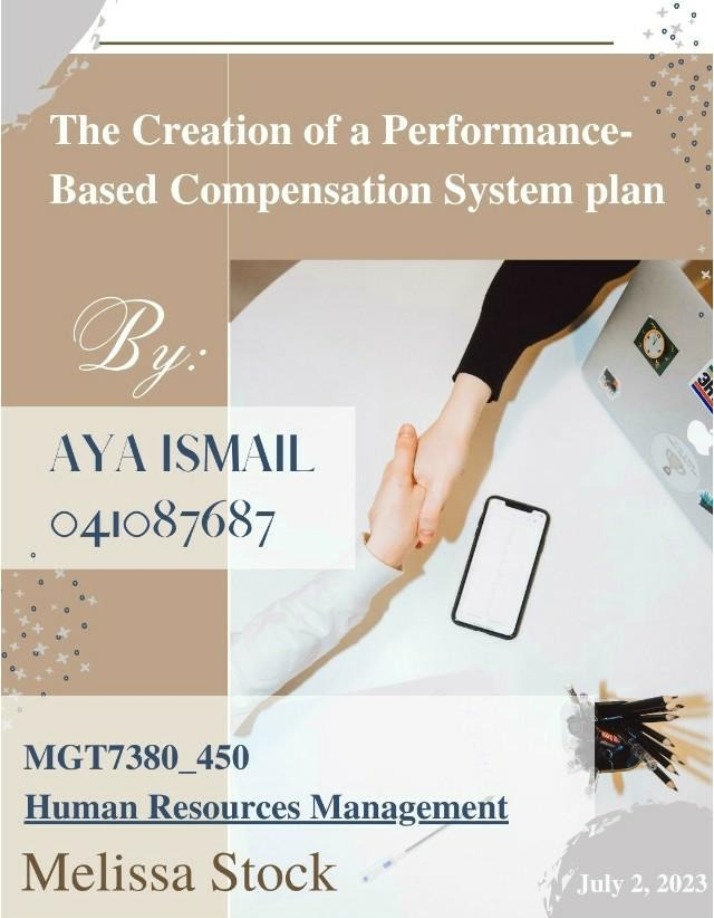 Performance-Based Compensation System Plan