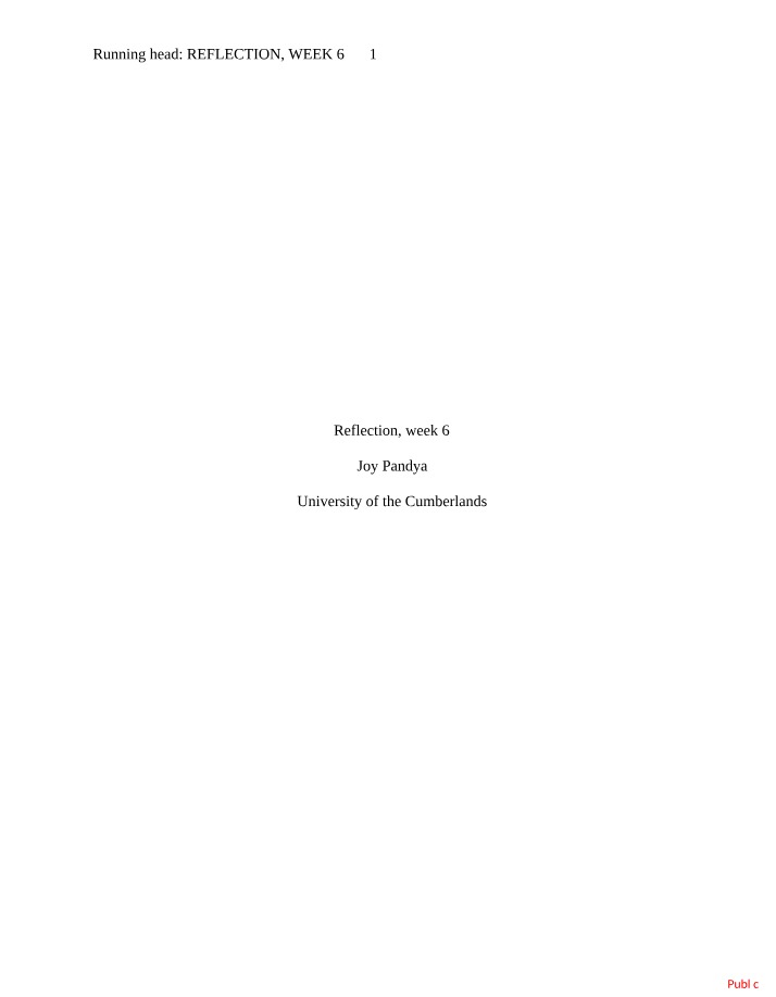 Project Plan Development - Reflection and Techniques