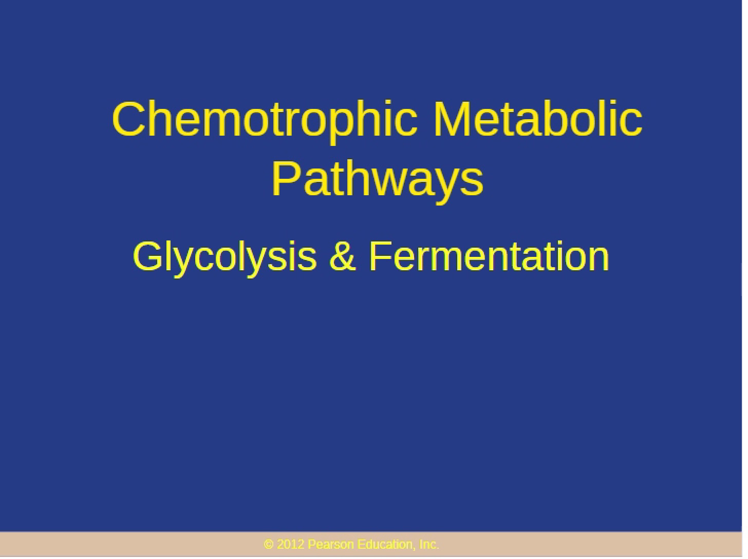Metabolic Pathways in Chemotrophs