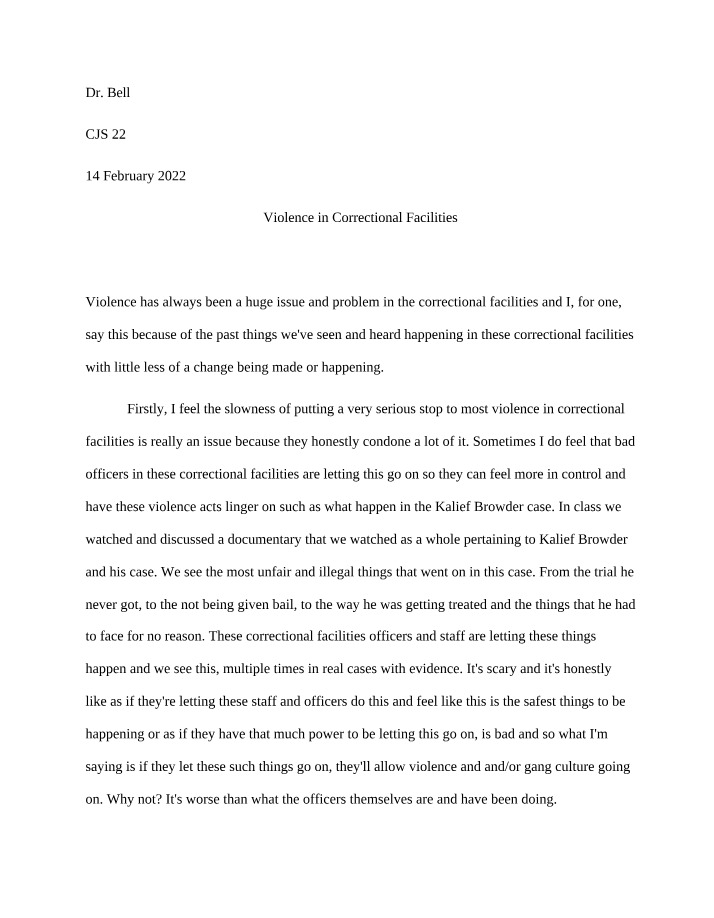 Essay - Violence in Correctional Facilities