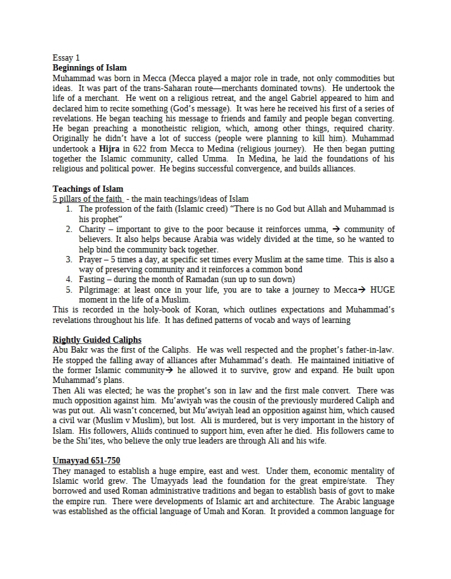 Course Essay