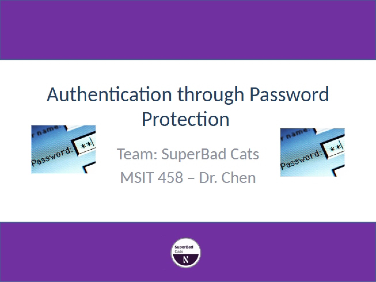 Protection of Passwords for Authentication
