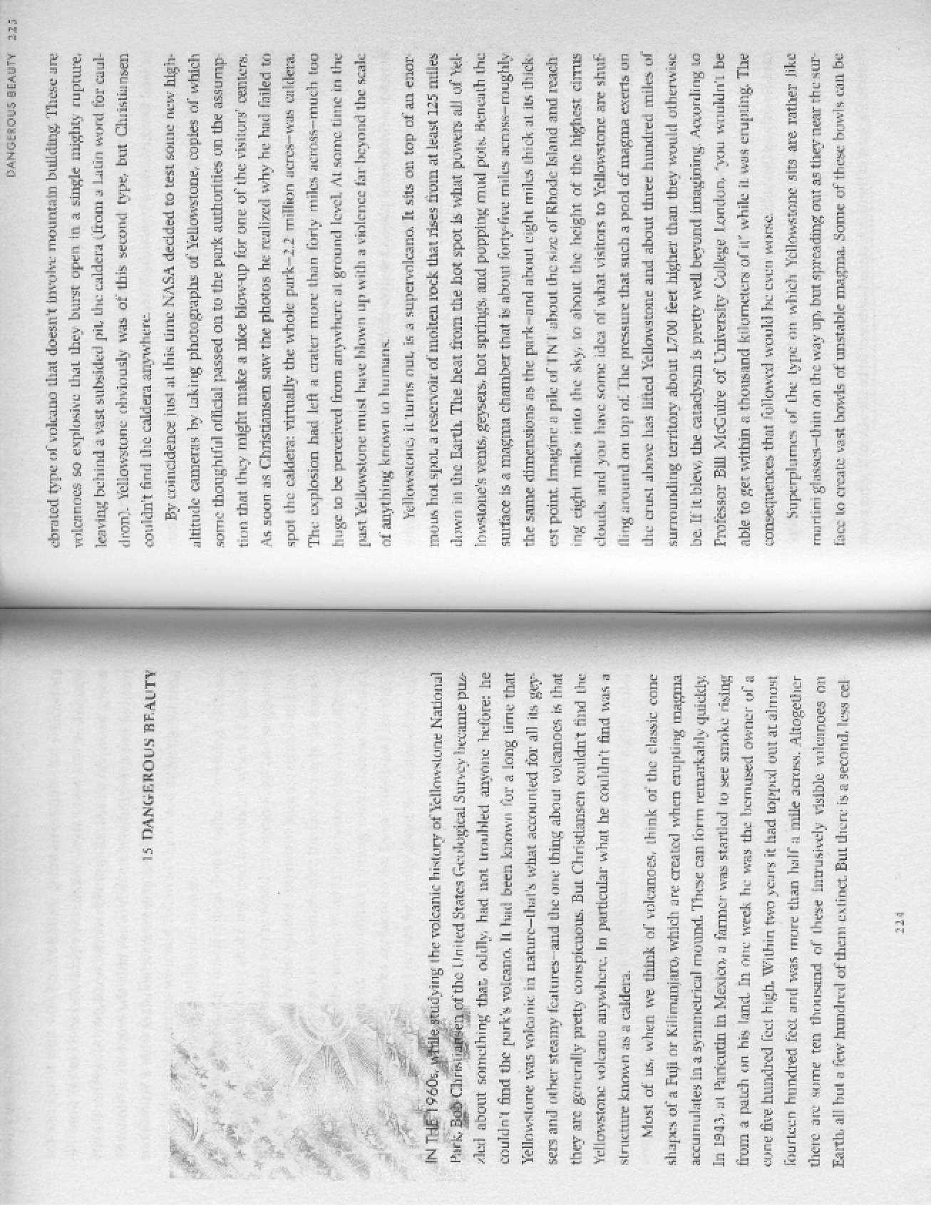Concept of Dangerous Beauty