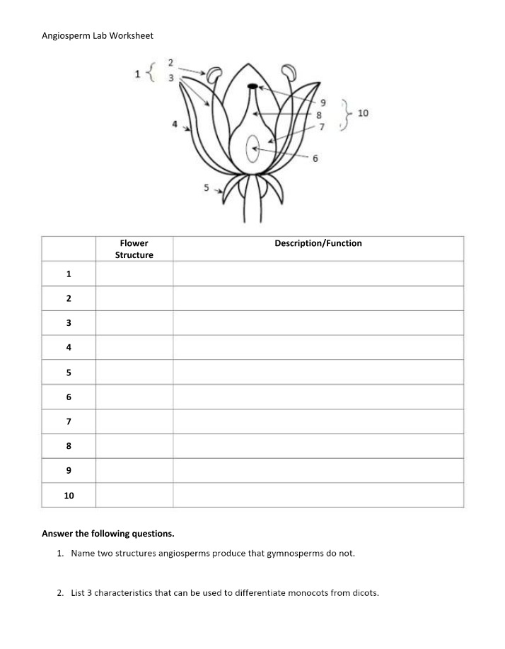 Worksheet for Angiosperm Lab