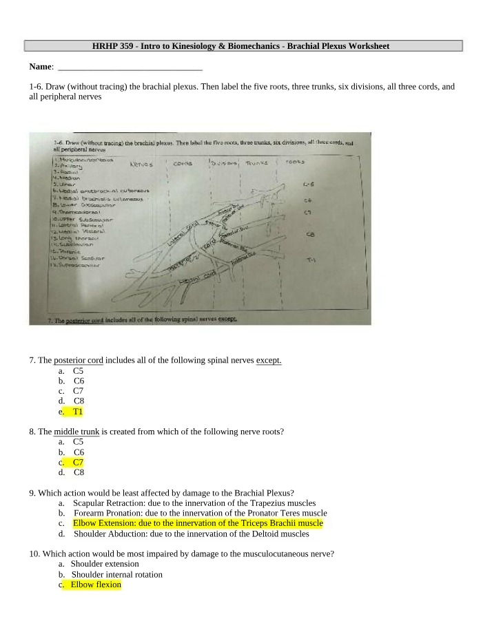 Worksheet on the Brachial Plexus