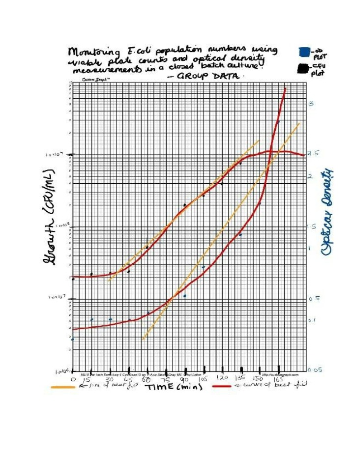 Class Average Data - Doubling Time, CFU-mL, and OD