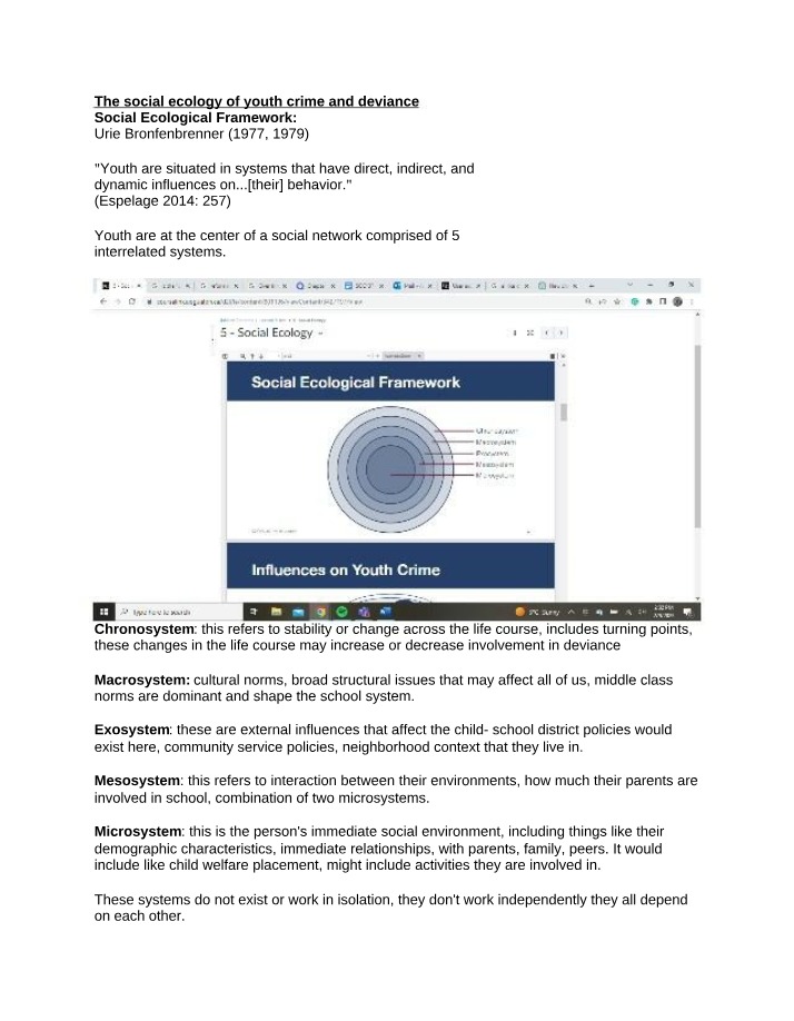 Social Ecological Framework and Youth Crime Influences - SOC 3710