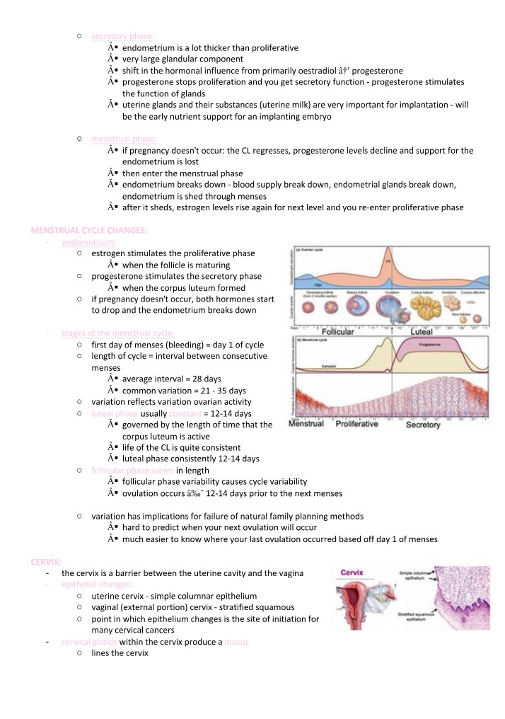 Remaining ANHB1101 Notes from Weeks 8-12