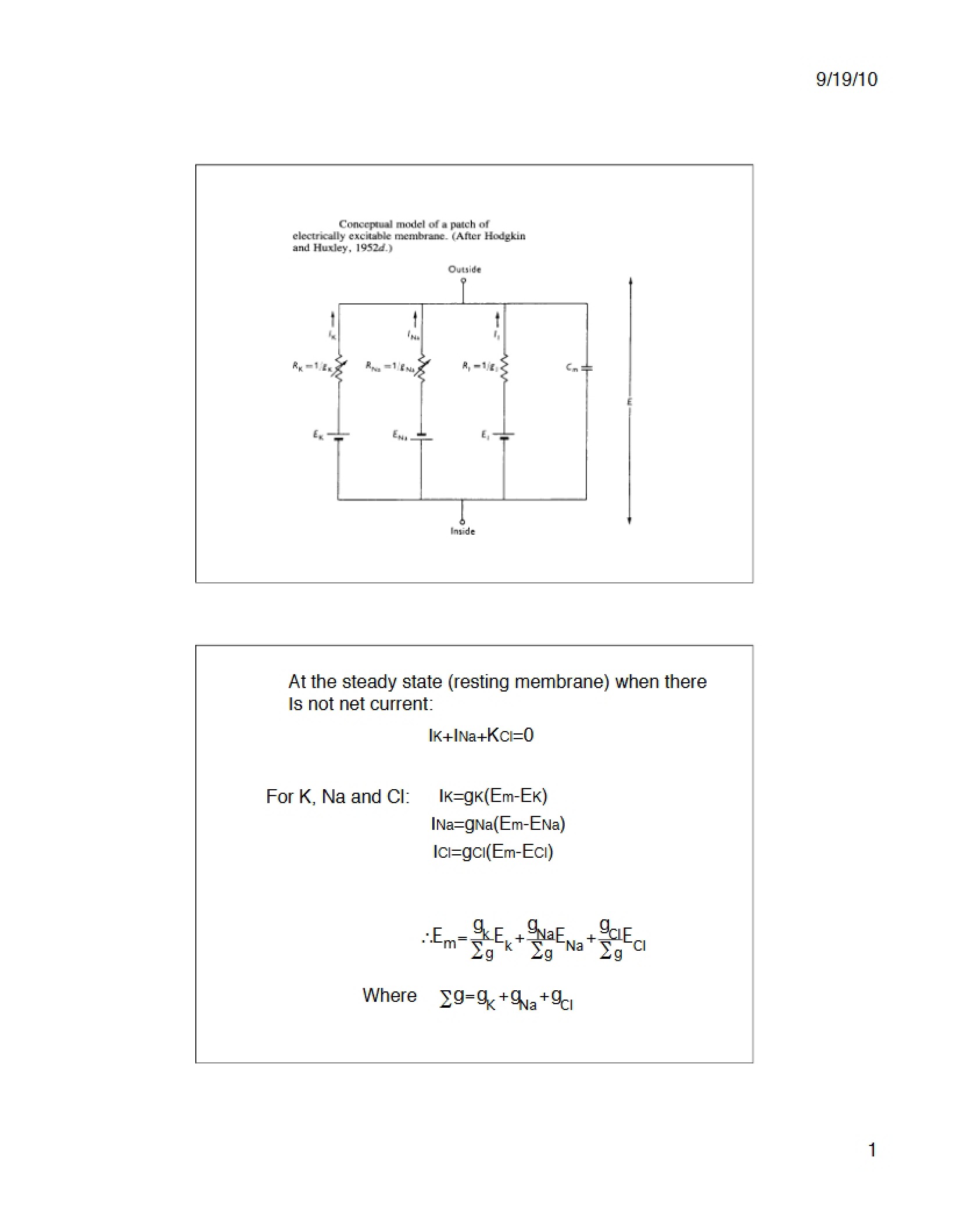 Membrane Electrical Excitability