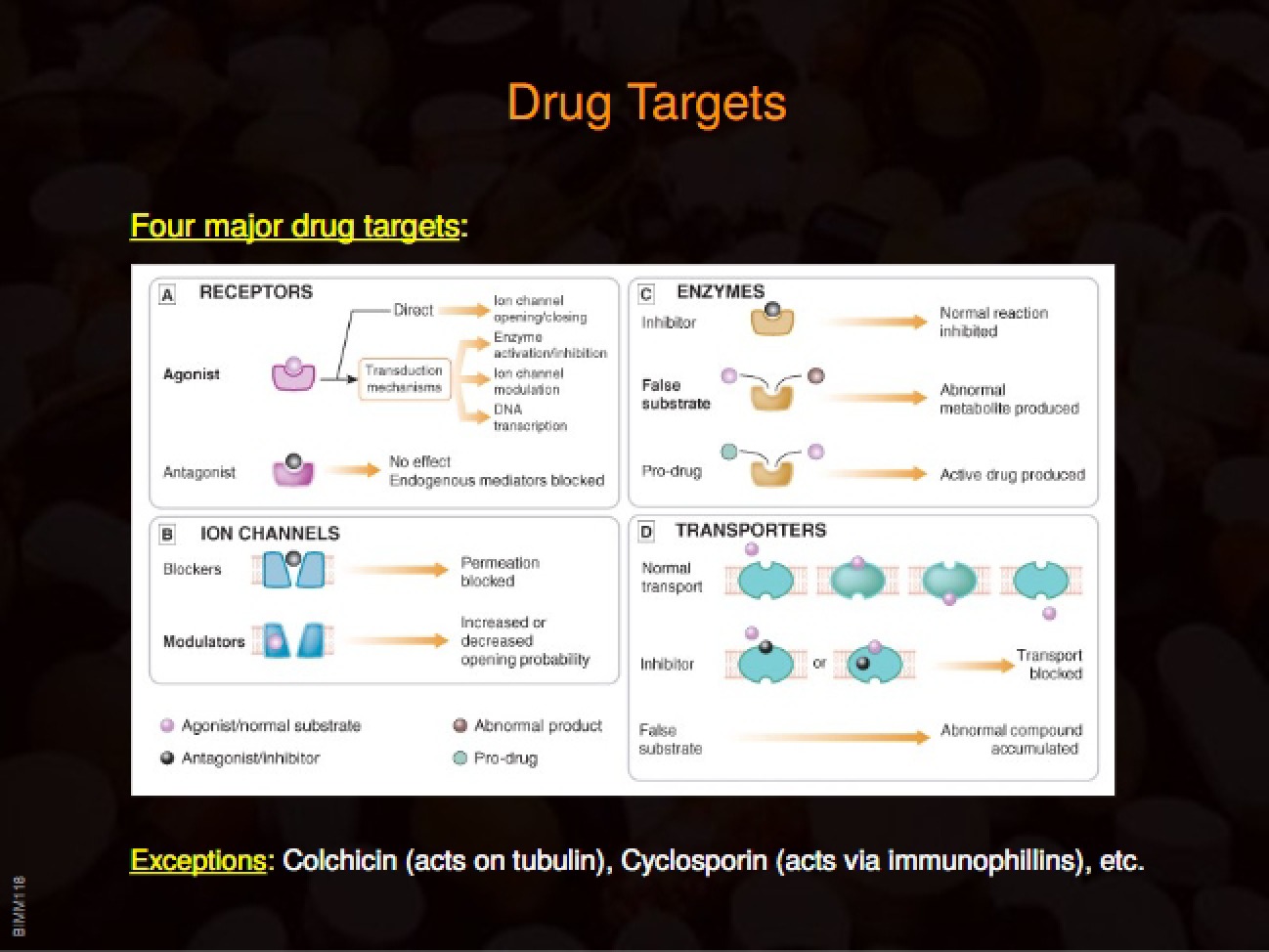Session 4 Pharmacology Overview