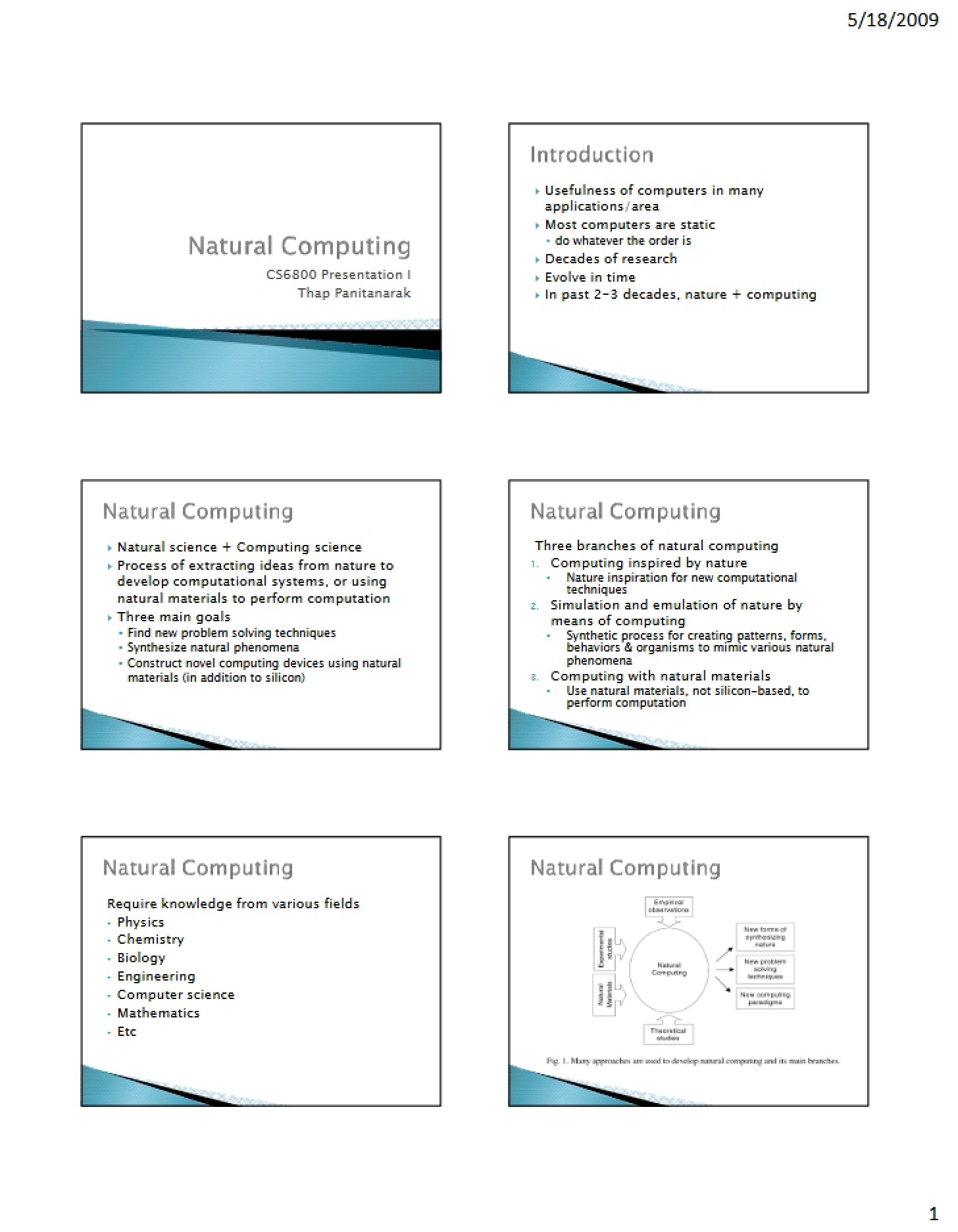 Computing in Nature