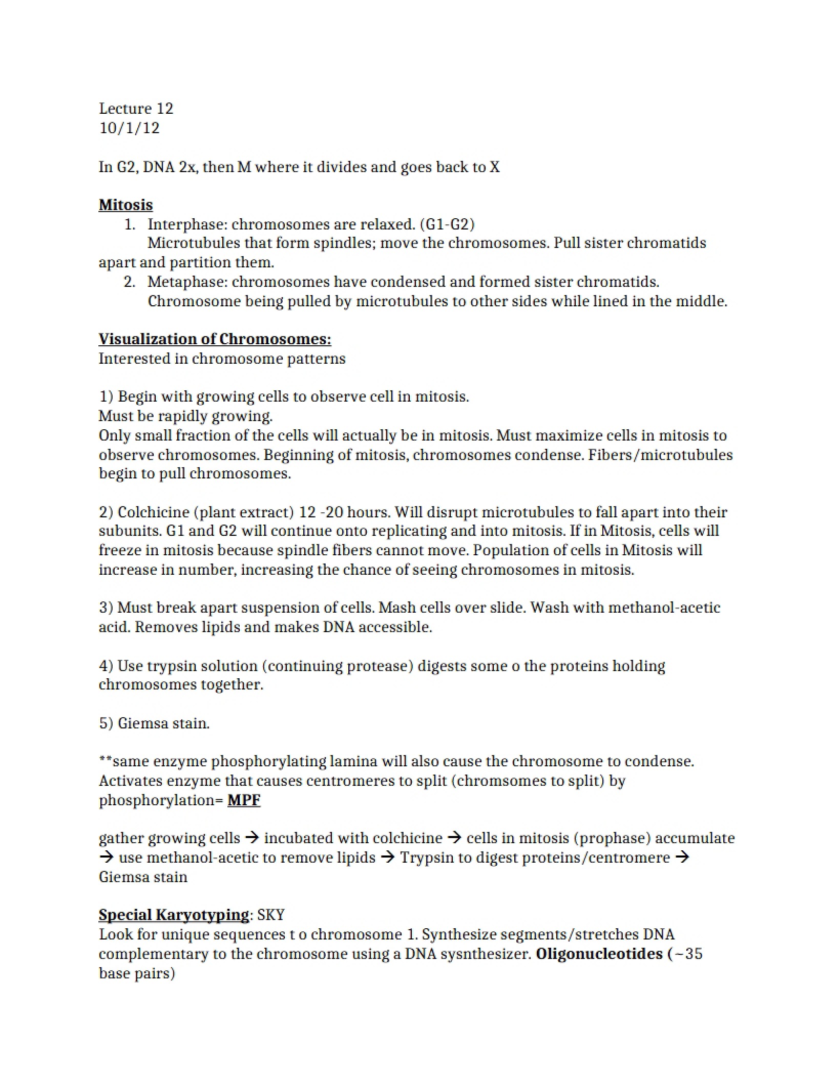 Cell Biology Presentation Summaries