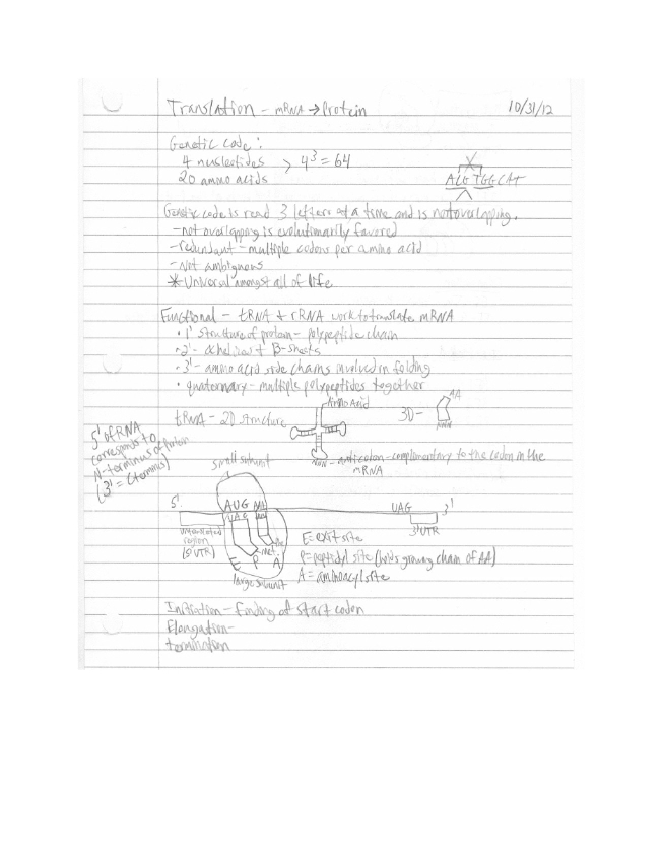 Genetics Course Notes