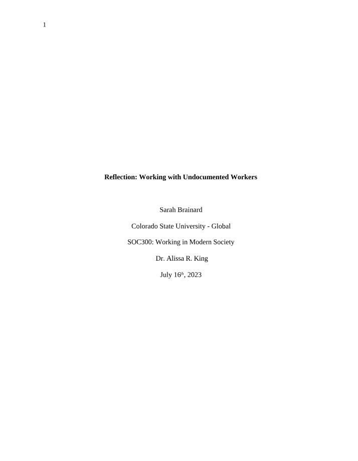 Working with Undocumented Workers - SOC300 Reflection