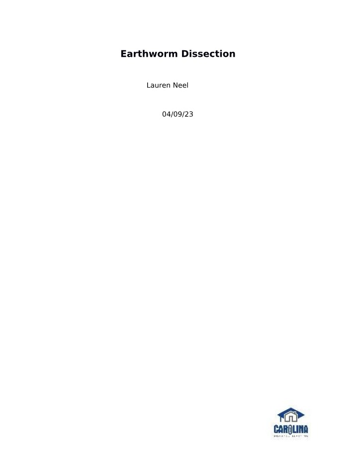 Earthworm Dissection - Internal and External Anatomy