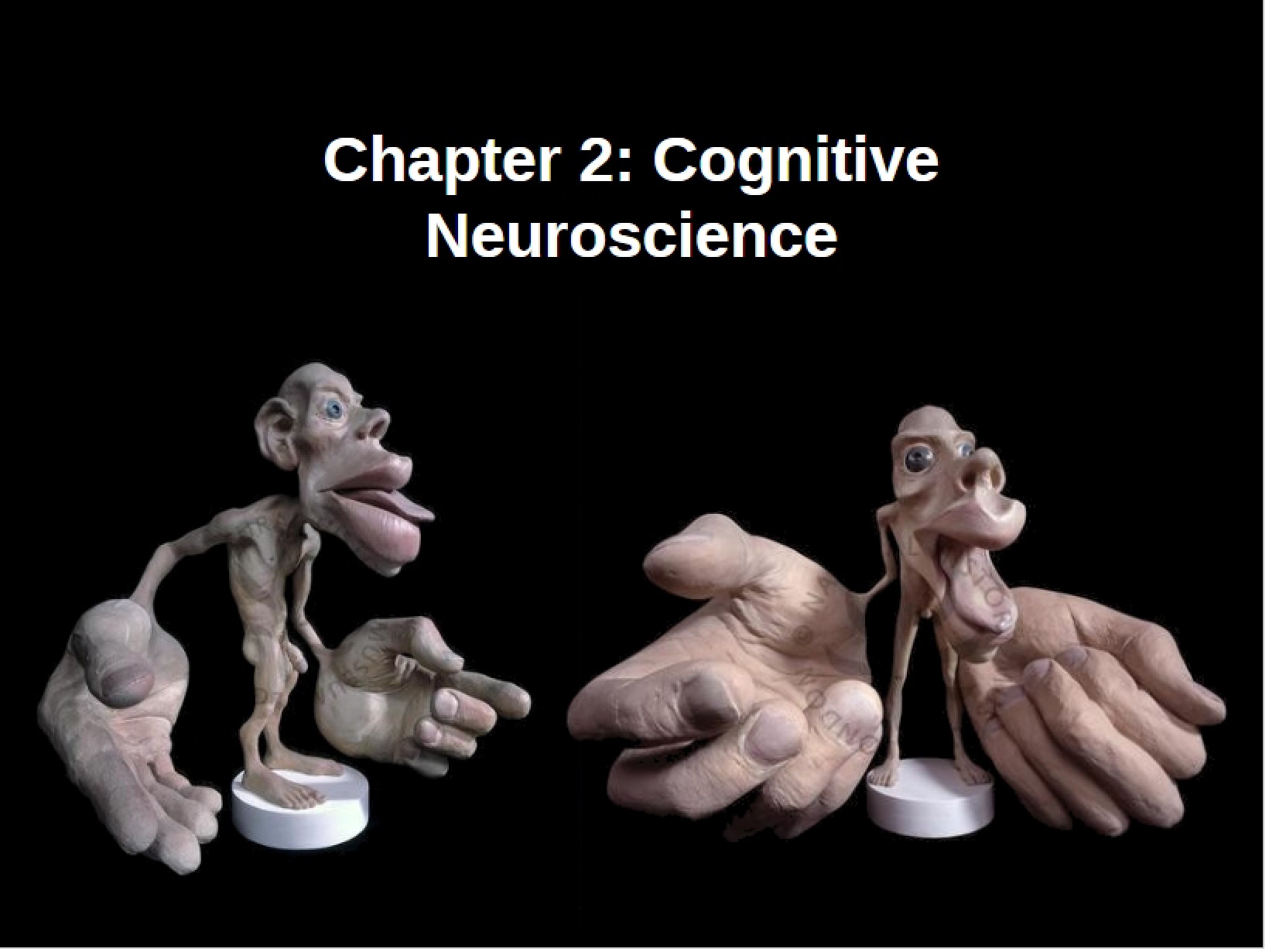 Neuroscience of Cognition