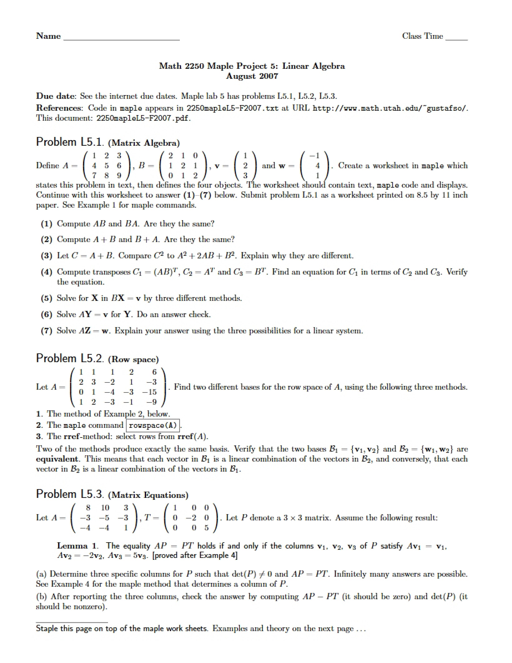 Fifth Maple Project Linear Algebra