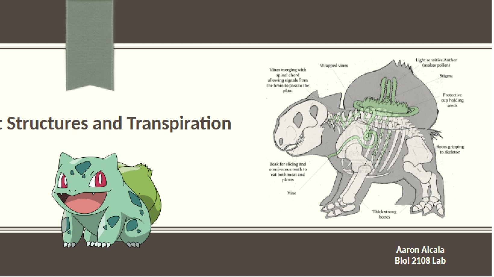 Transpiration and Plant Structure (4-AA)