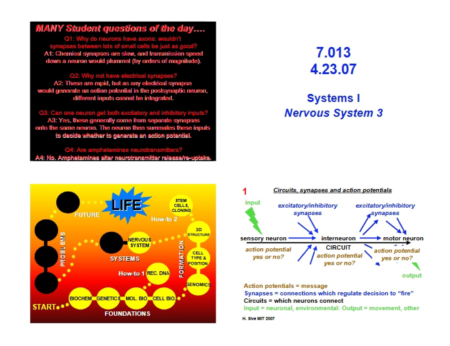 Instructional Lecture Notes