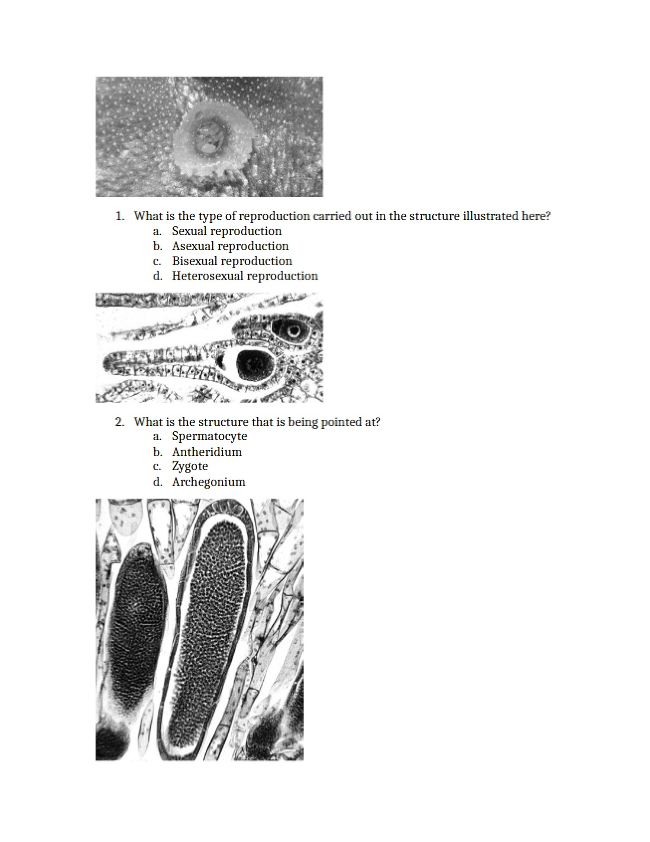 Practice Test for the Second Unit of Biology I