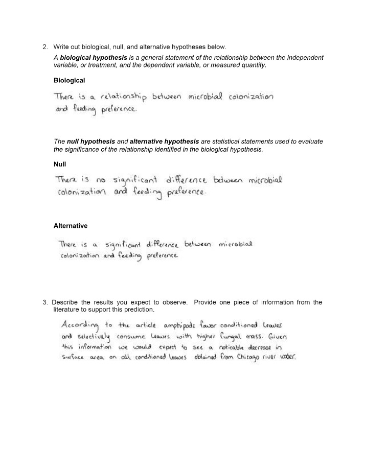 Microbial Colonization and Feeding Relationship
