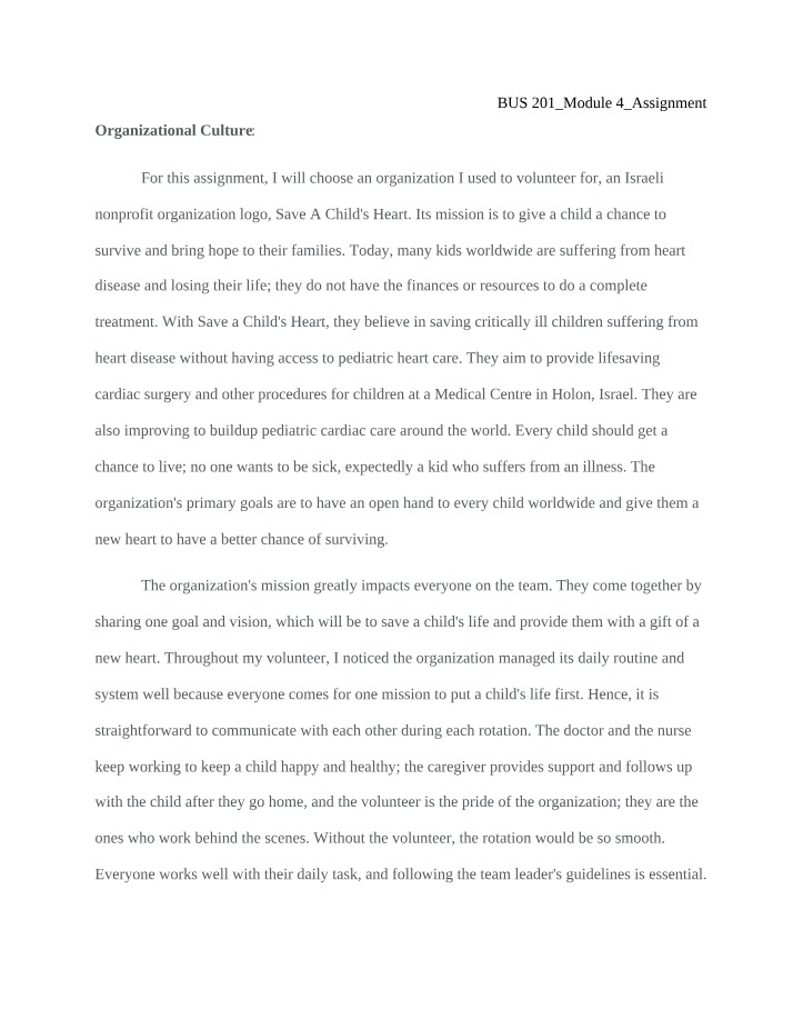 Module 4 Assignment for BUS 201