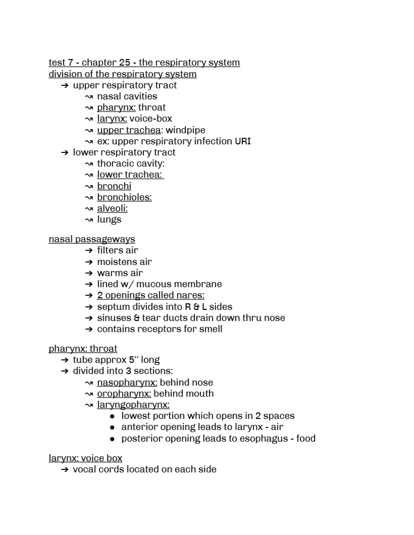 System of Respiration