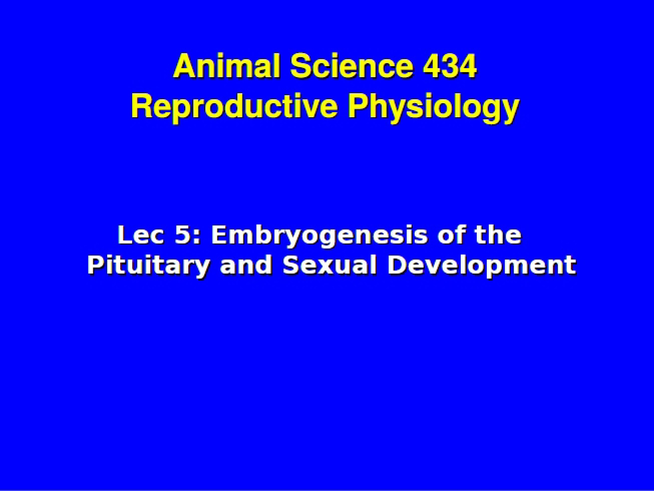 Sexual Development and Pituitary Embryogenesis