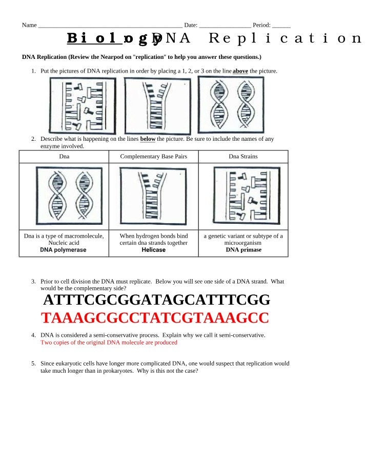 Review of DNA Replication
