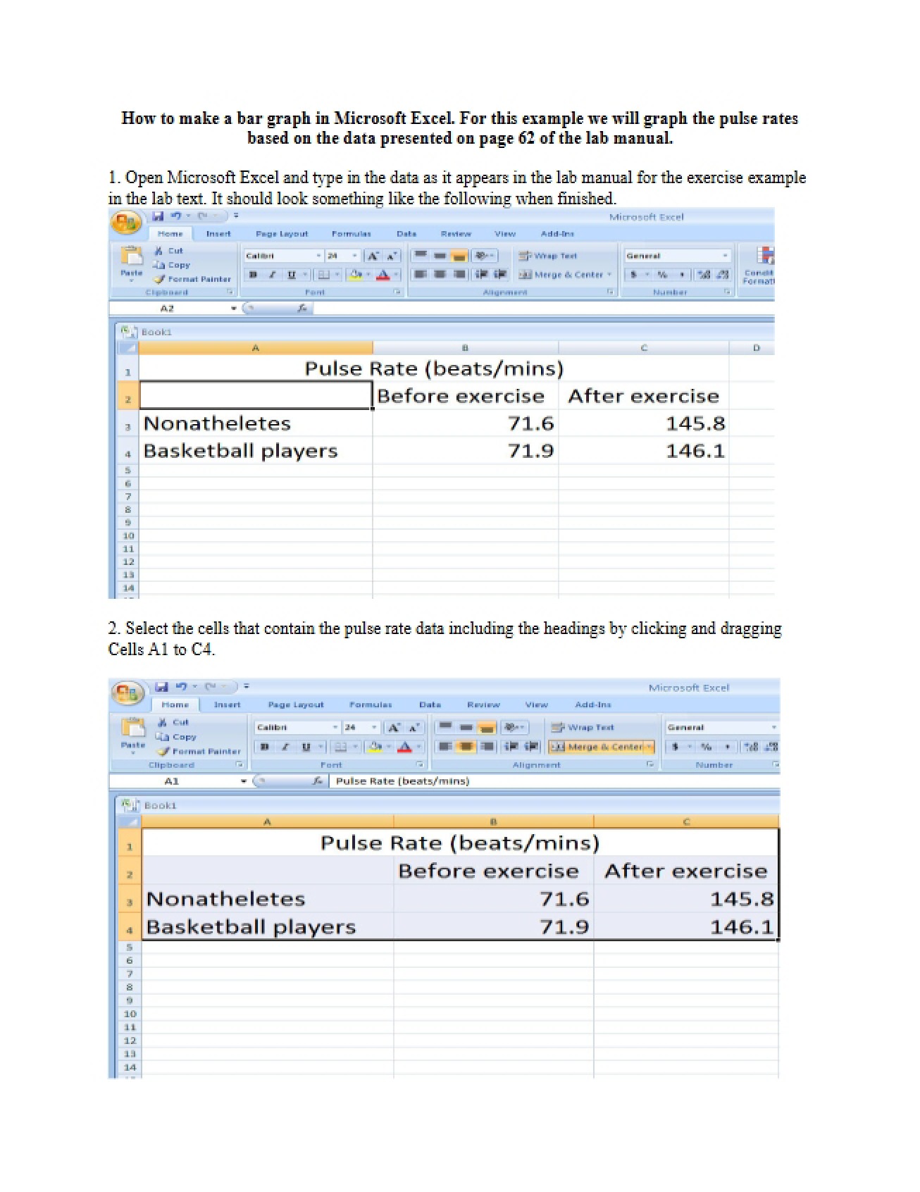 Creating Bar Graphs with Excel