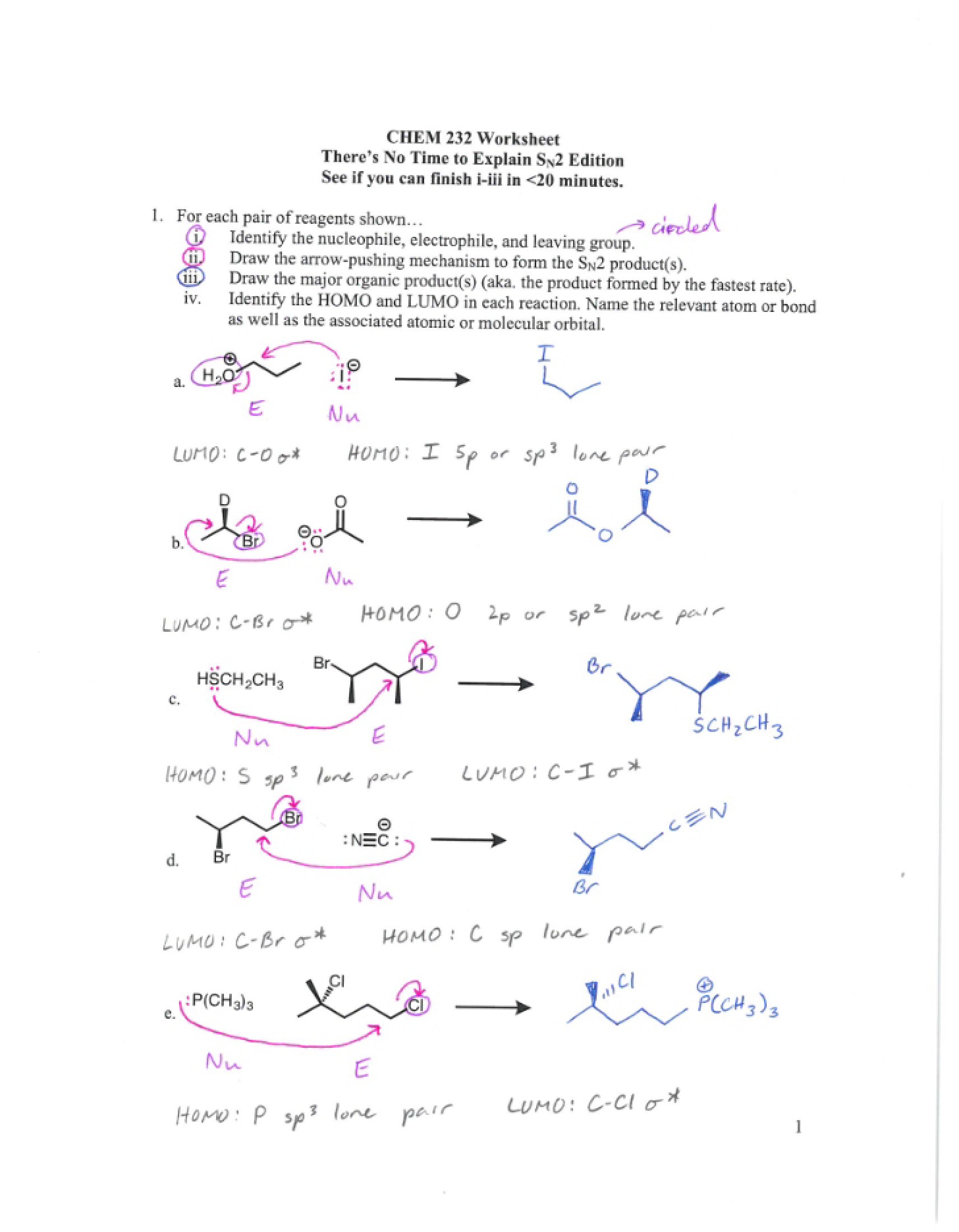 Key for Worksheet 13