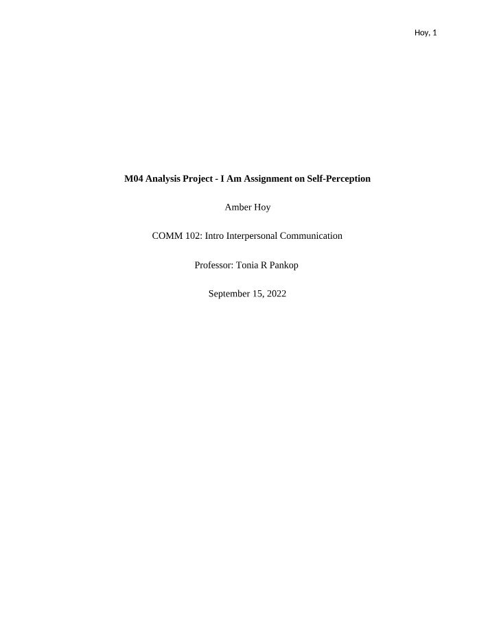 I Am Assignment on Self-Perception - M04 Analysis Project