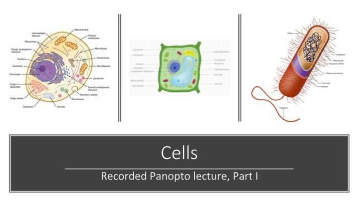 Lecture Notes - Cells