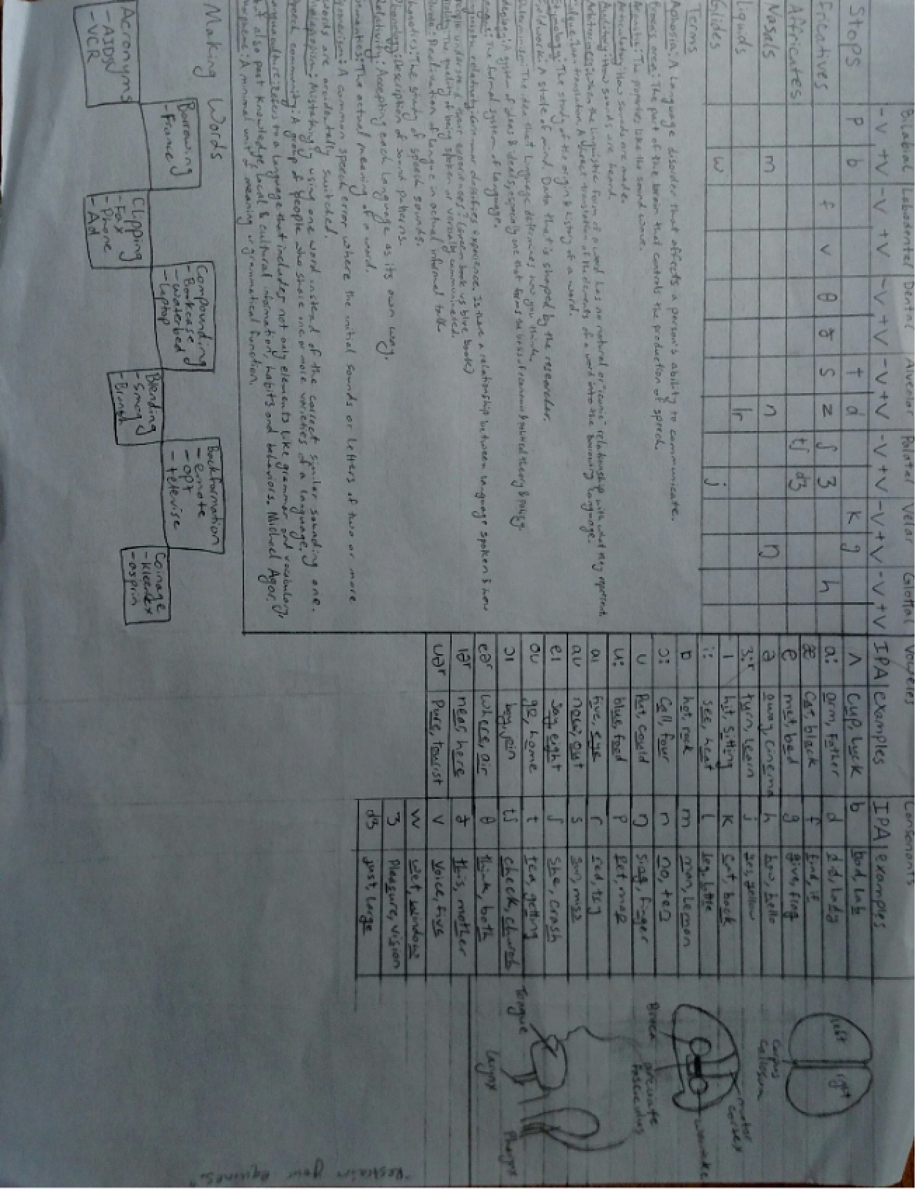 Evolutionary Theory Lecture Notes