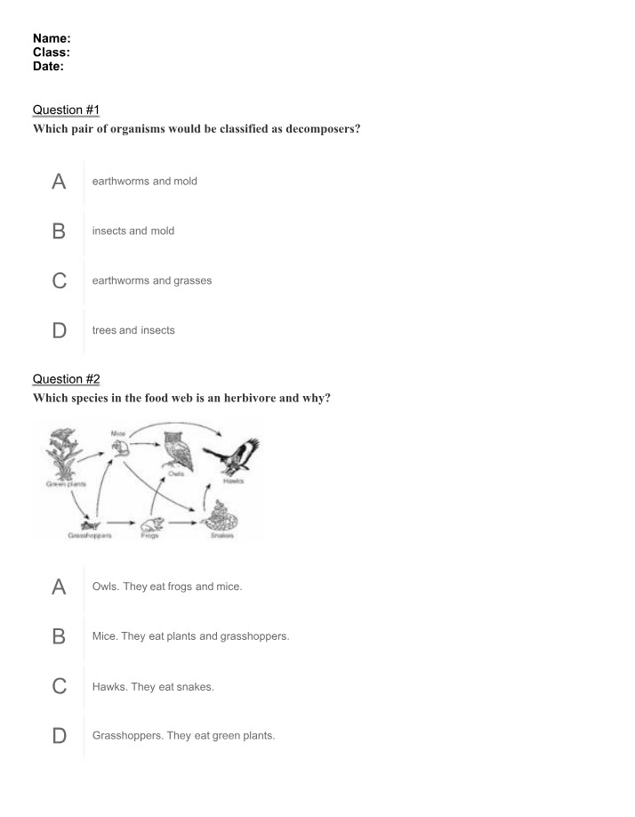 Decomposers - Key Organisms in Ecosystems
