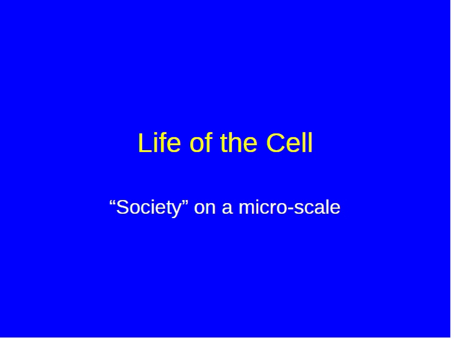 Cellular Life Cycle