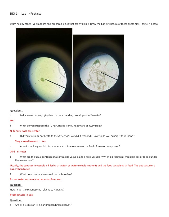 Protista - Lab 3 BIO 122