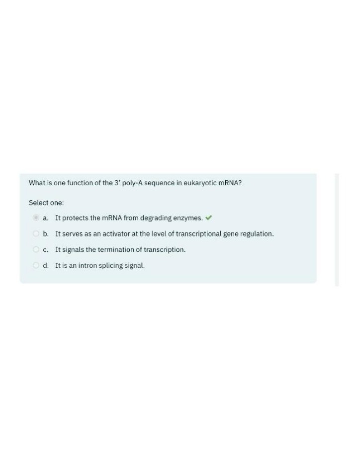 Quiz on 3' Poly-A Sequence Function in Eukaryotic mRNA