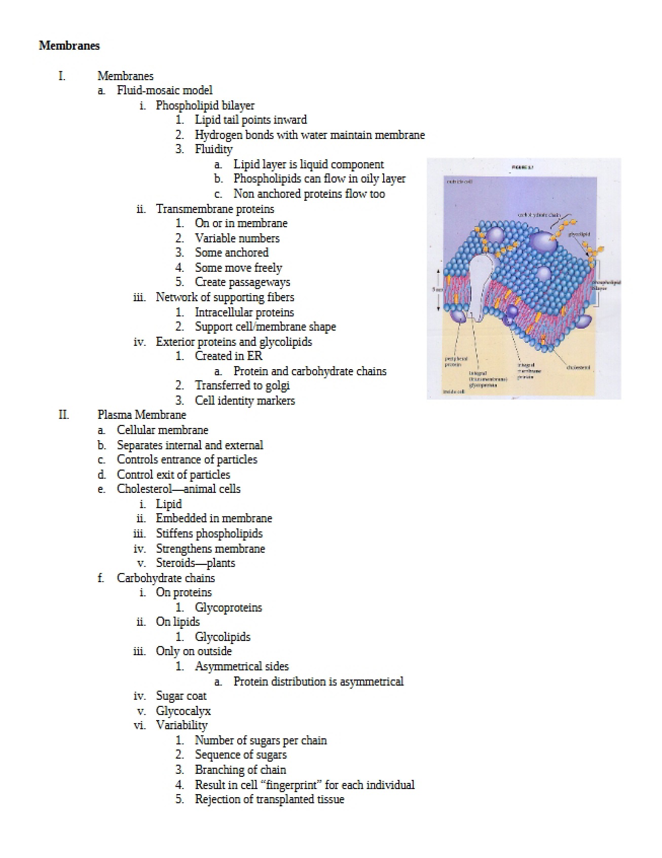 Biological Membranes