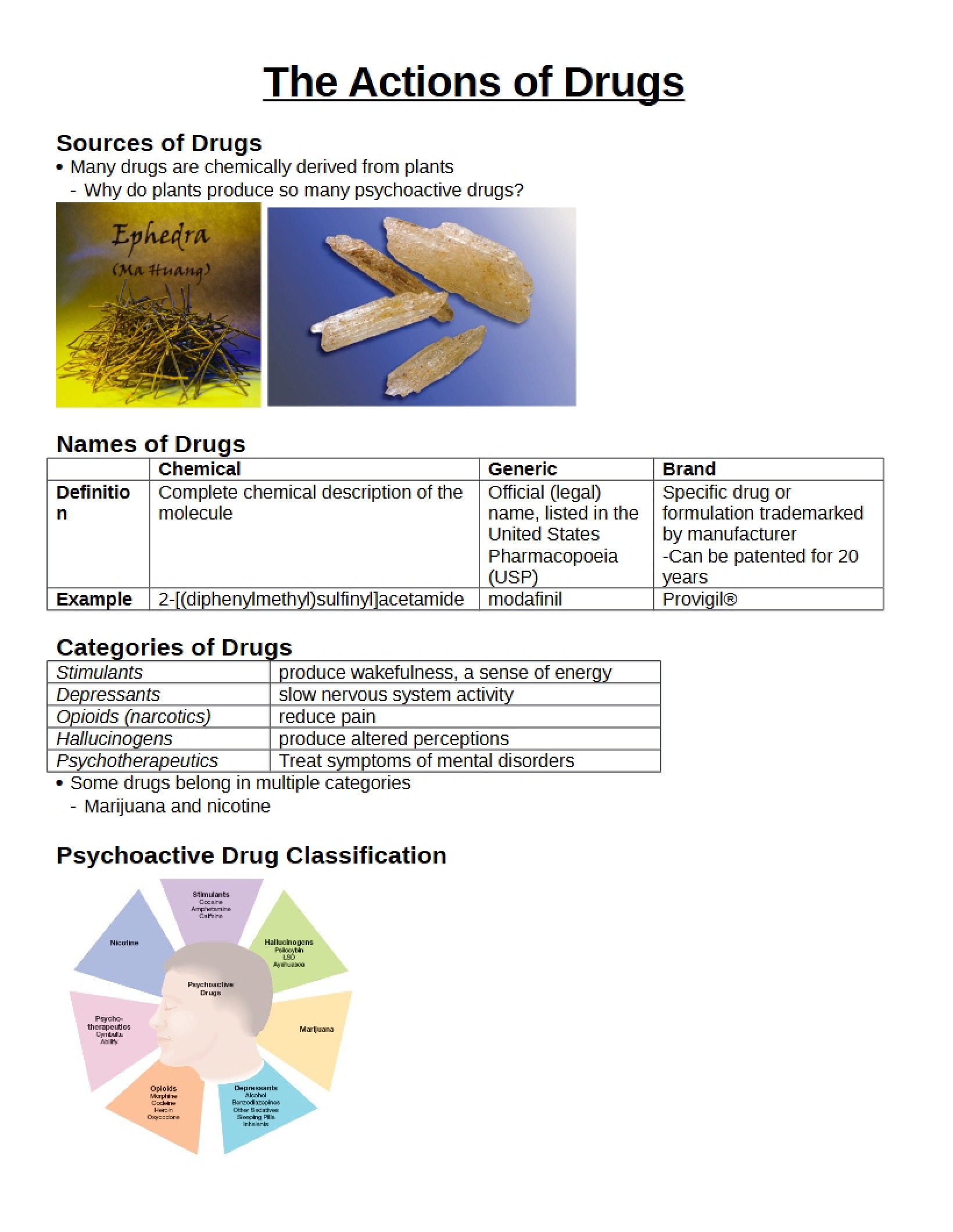 Drug Actions (Chapter 5)