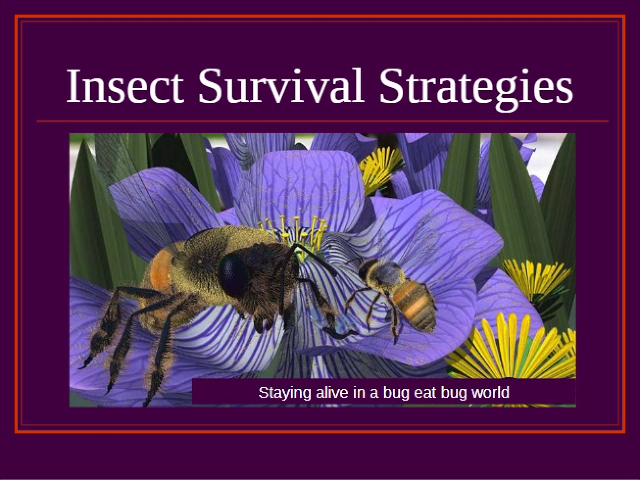 Strategies for Insect Survival