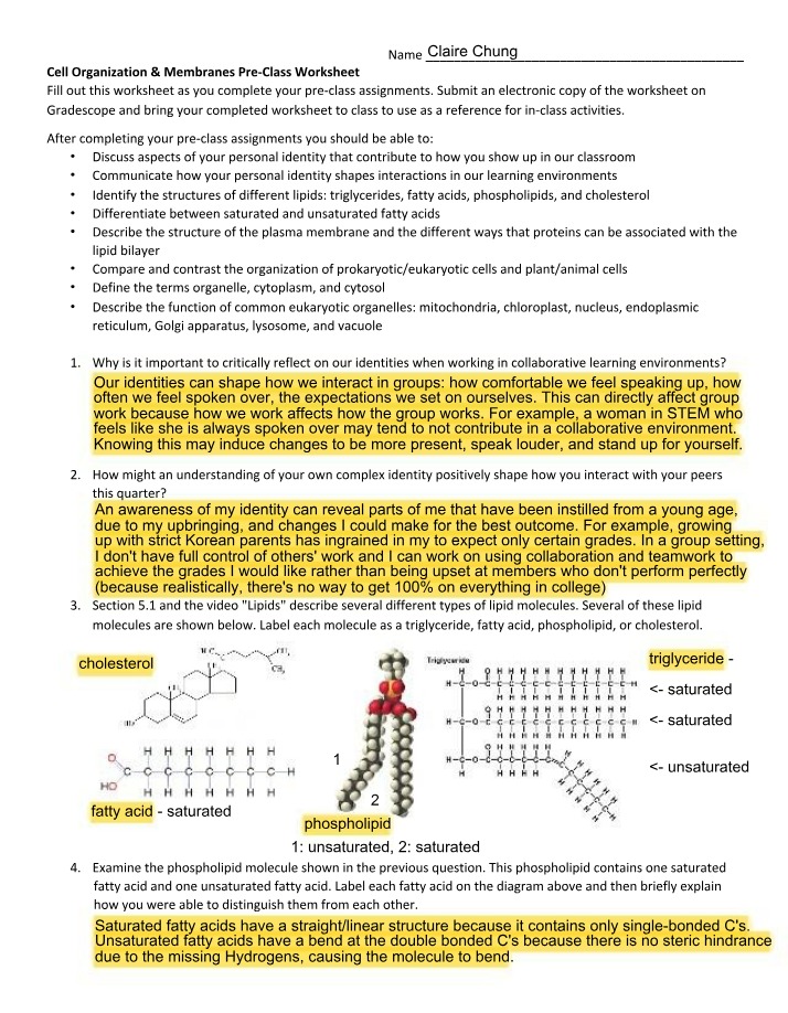 Cell Organization and Membranes Worksheet 08