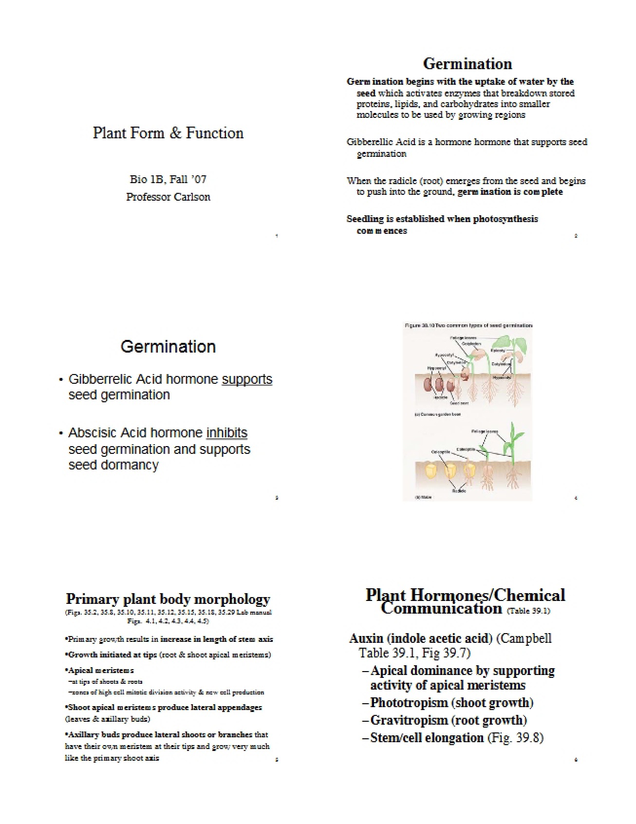 Study of Population Biology