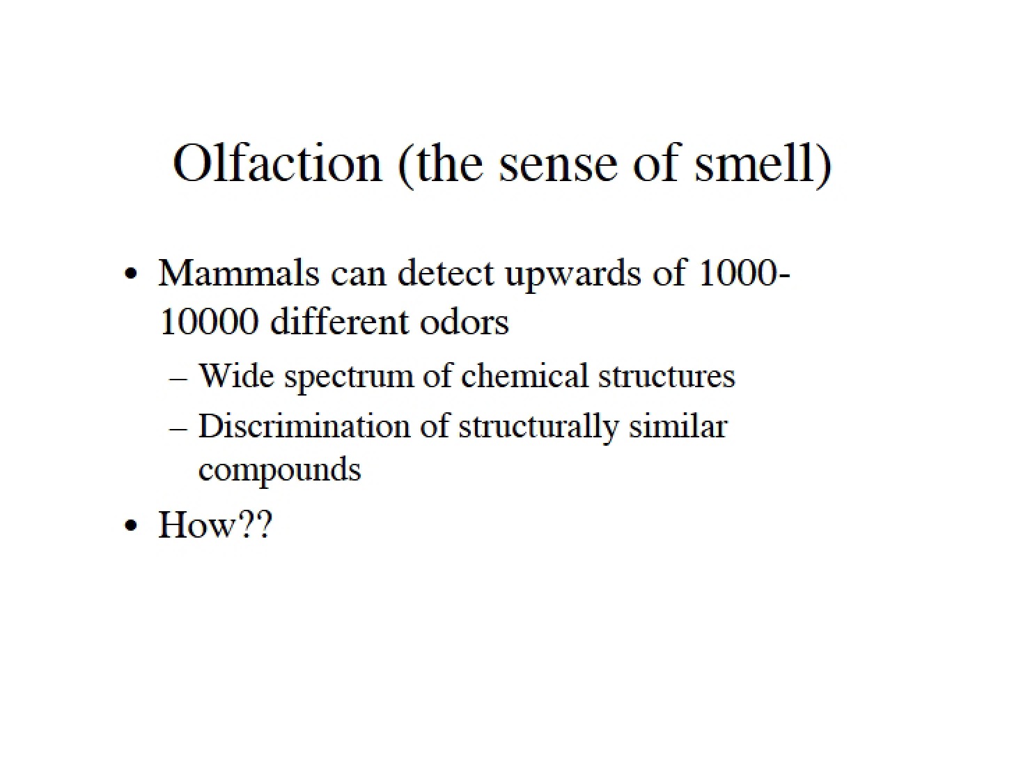 Olfactory Sense