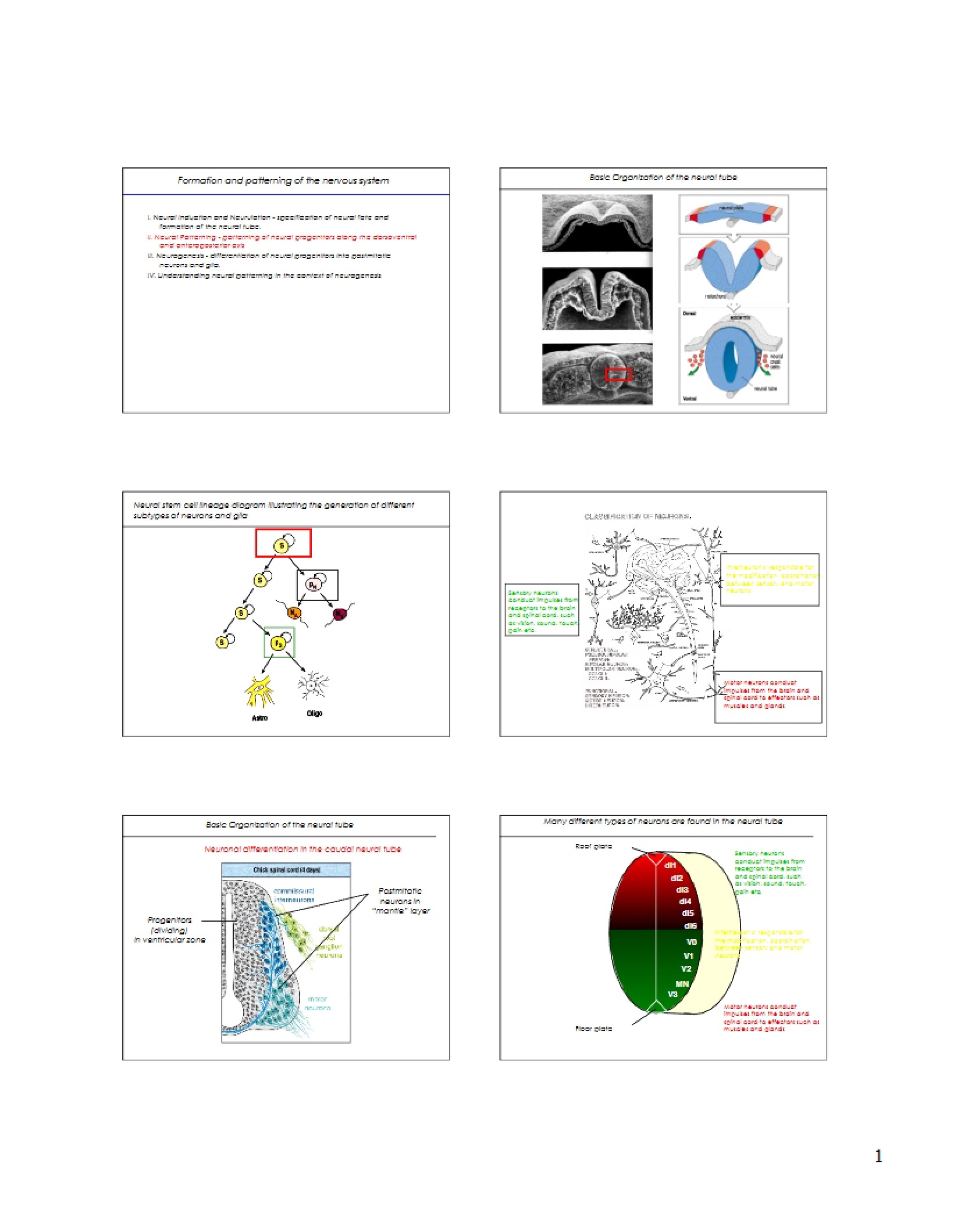 Genetics Course Notes