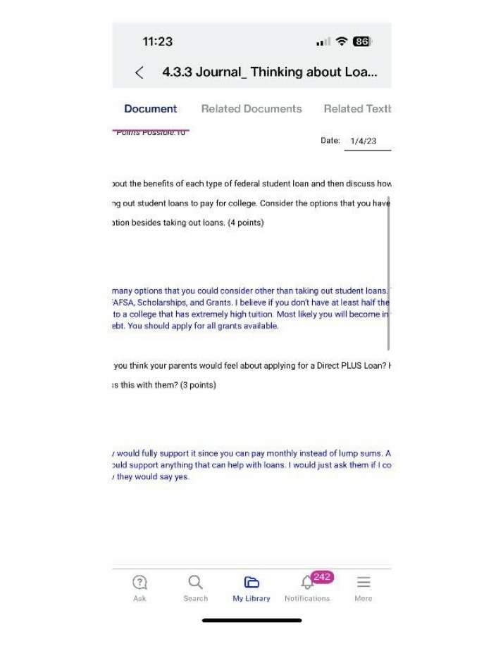 Journal 4.3.3 - Thinking about Loans