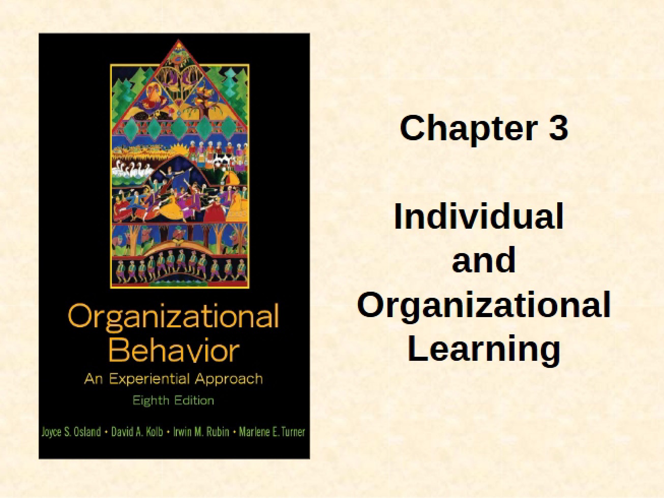 Organizational and Individual Learning (Chapter 3)